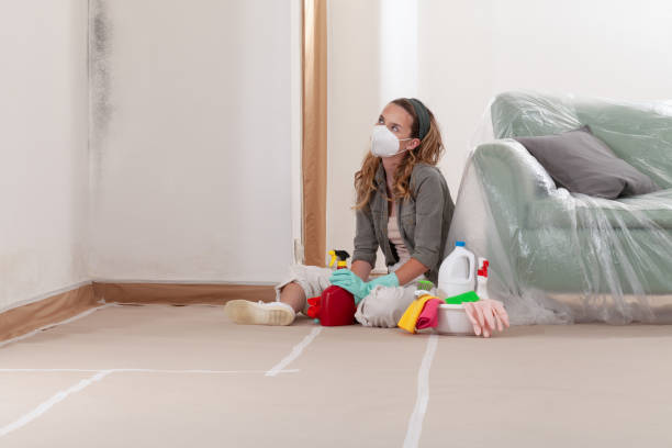 Reliable Black Mold Removal contractor in Wheaton, MN by WQB Mold Removal
